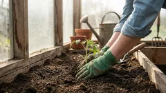 Vad man ska plantera i april i friland, växthus och som plantor: en lista värd att spara